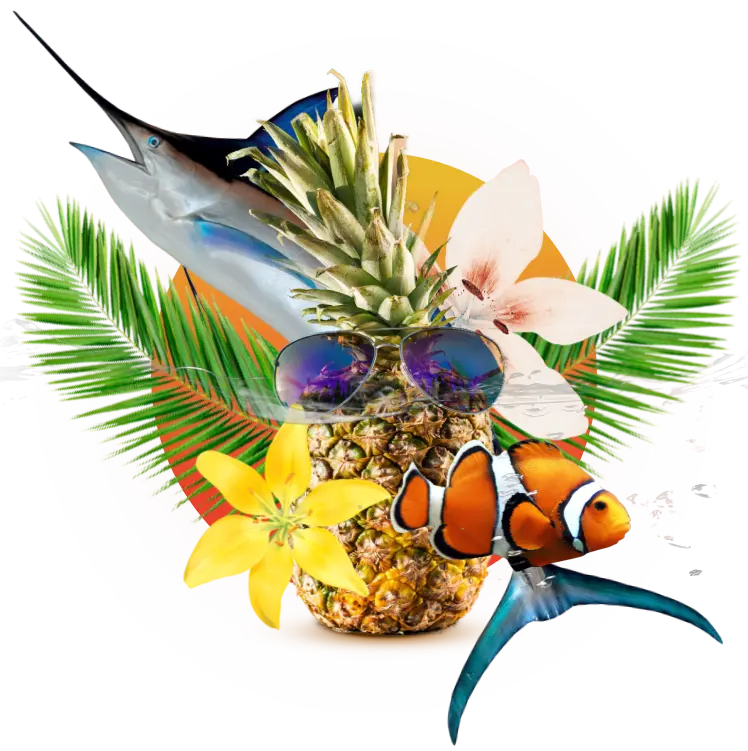 Hoteles de Ixtapa Zihuatanejo